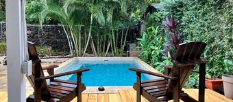 Jungle Paradise. Monkeys seen crossing the river each morning!