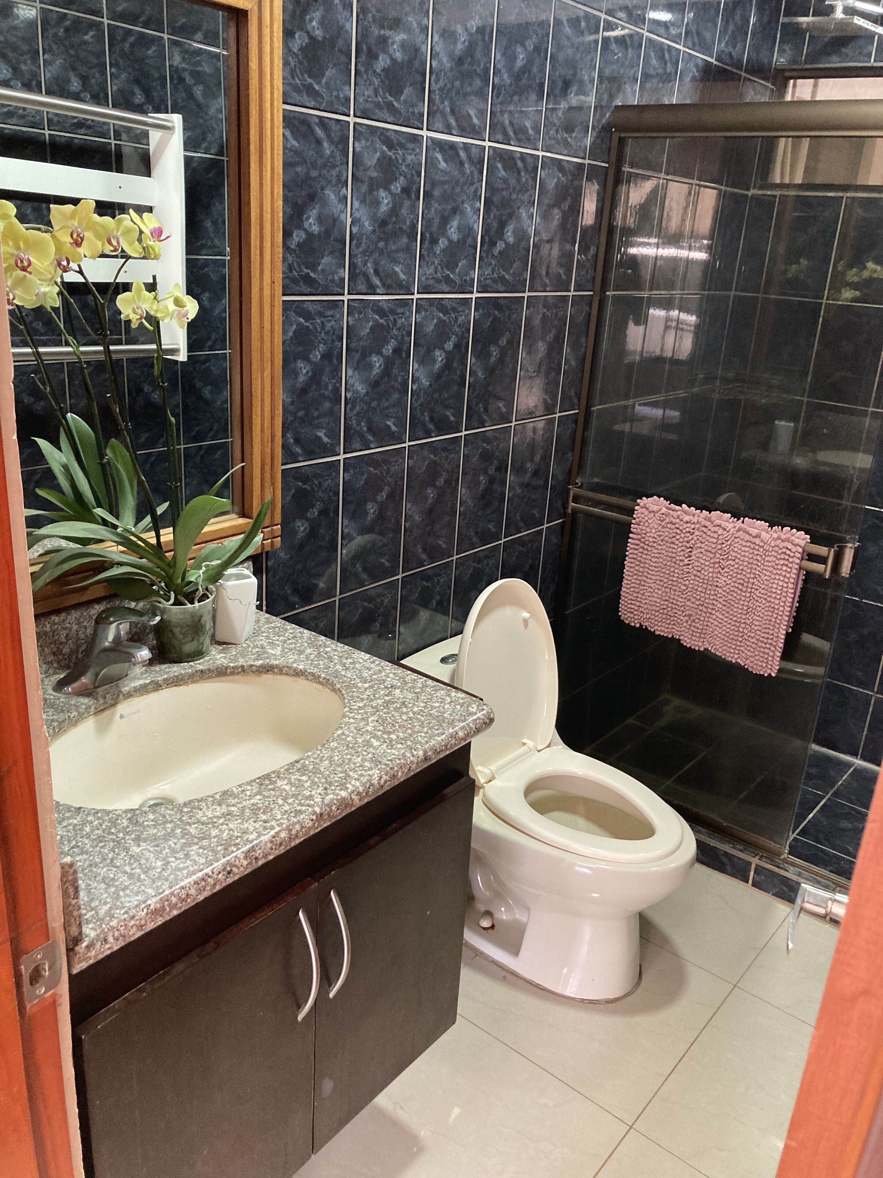 Une salle de bain avec un lavabo en marbre, des toilettes, une douche et un miroir.