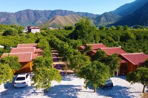 Ngoại thất