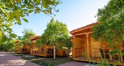 Eliz Apart & Bungalow