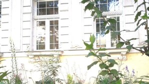 Uklassifisert bilde, 2 av 33, knapp