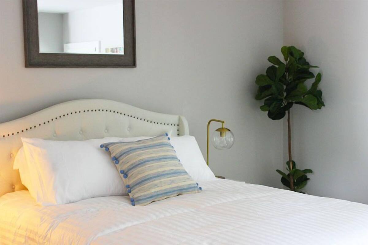 A neatly made bed with white bedding and a striped pillow, a bedside lamp, and a large green plant in a corner.