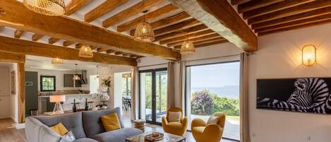 TV, fireplace, books