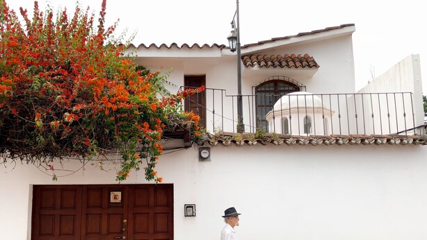 A white building with a brown door, a balcony with a railing, and a tree with orange flowers.