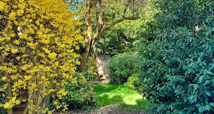 Charming and spacious period cottage in central Cambridge