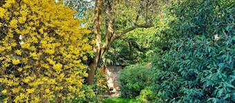 Charming and spacious period cottage in central Cambridge