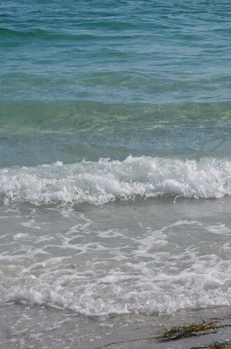 Private Guest Apartment Close to Several Beautiful Beaches