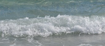 Private Guest Suite with Shared Pool Access - just 9 miles from Boca Grande