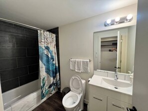 Une salle de bain équipée d’un rideau de douche, de toilettes, d’un lavabo et d’un miroir.