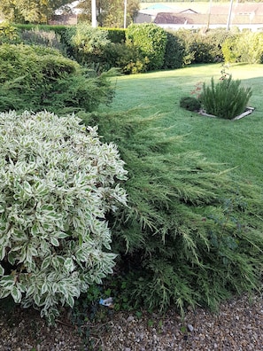 Property grounds - Le Touquet charming house.For 8 people (Aix-en-Issart)