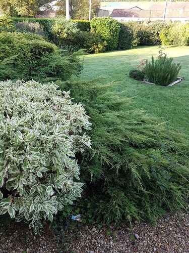 Le Touquet maison de charme.Pour  8 personnes