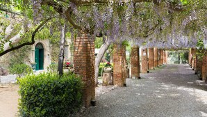 Un sentier bordé de colonnes en briques et recouvert de glycines.