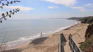 A beach with a wooden walkway leading to the shore.