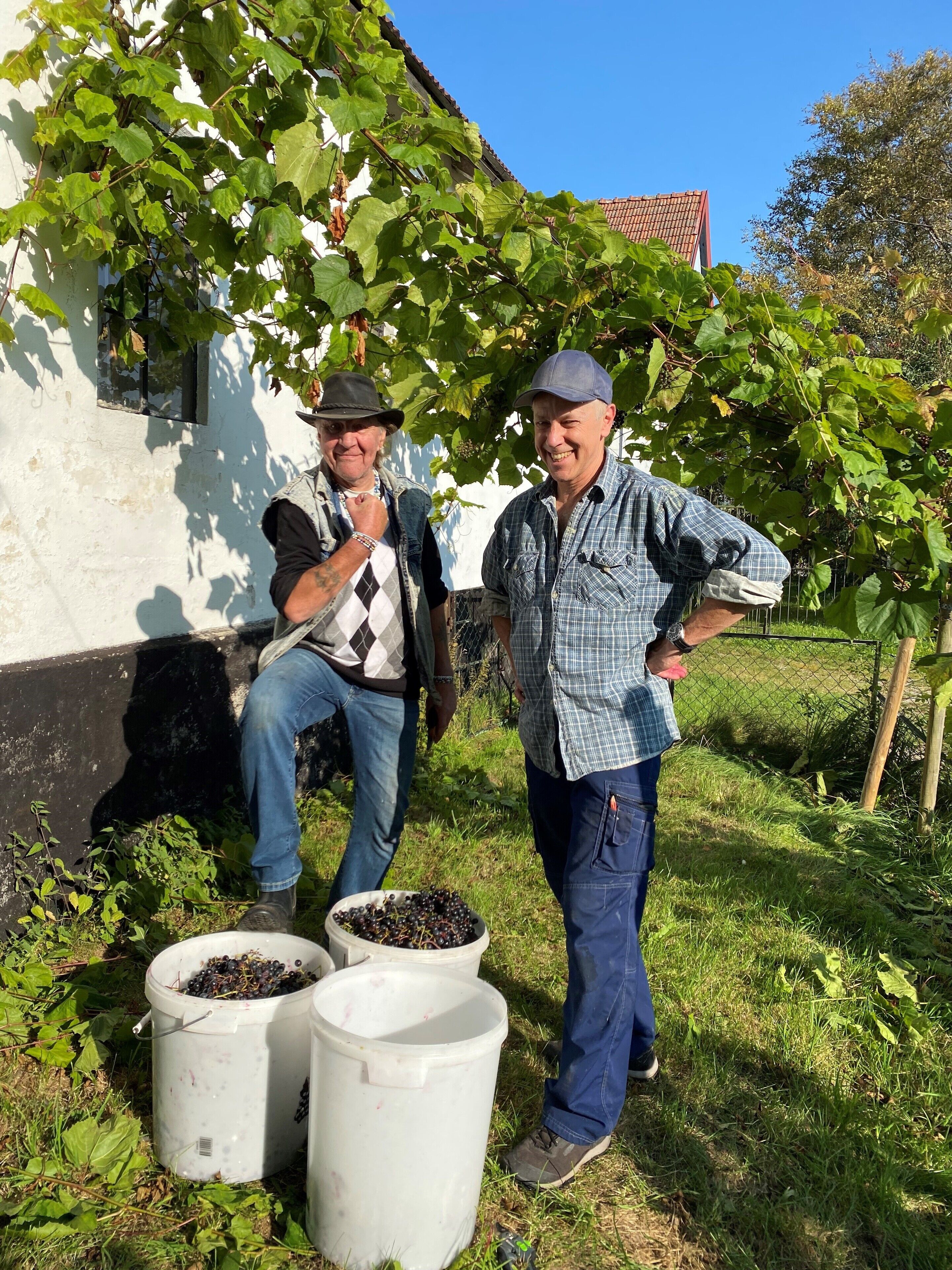 Dos personas de pie junto a cubos llenos de uvas, con un edificio y follaje de fondo.