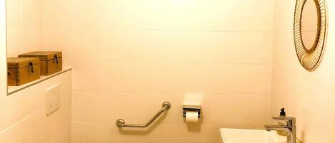 Un bagno piccolo e funzionale, con il water, un lavandino, uno specchio e una maniglia di sostegno.