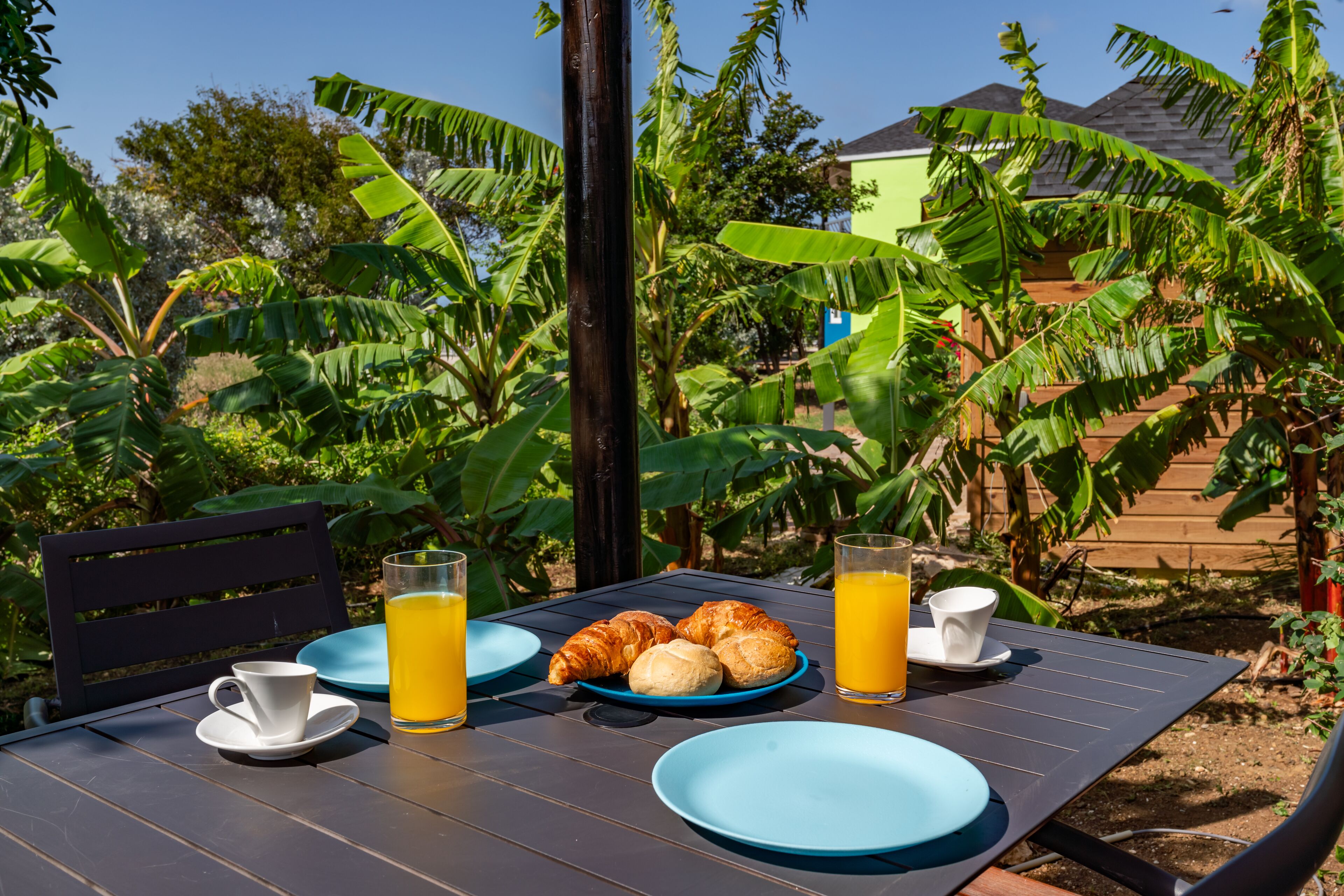 A table set with breakfast items including croissants, a cup, and a glass of orange juice, surrounded by lush greenery.