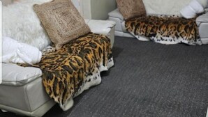A room with two white sofas, one with a leopard print cover and the other with a plain cover. There is a door with a sign on it, a curtain, and a carpeted floor. - Beautiful 1-bed House in Leeds (Leeds)