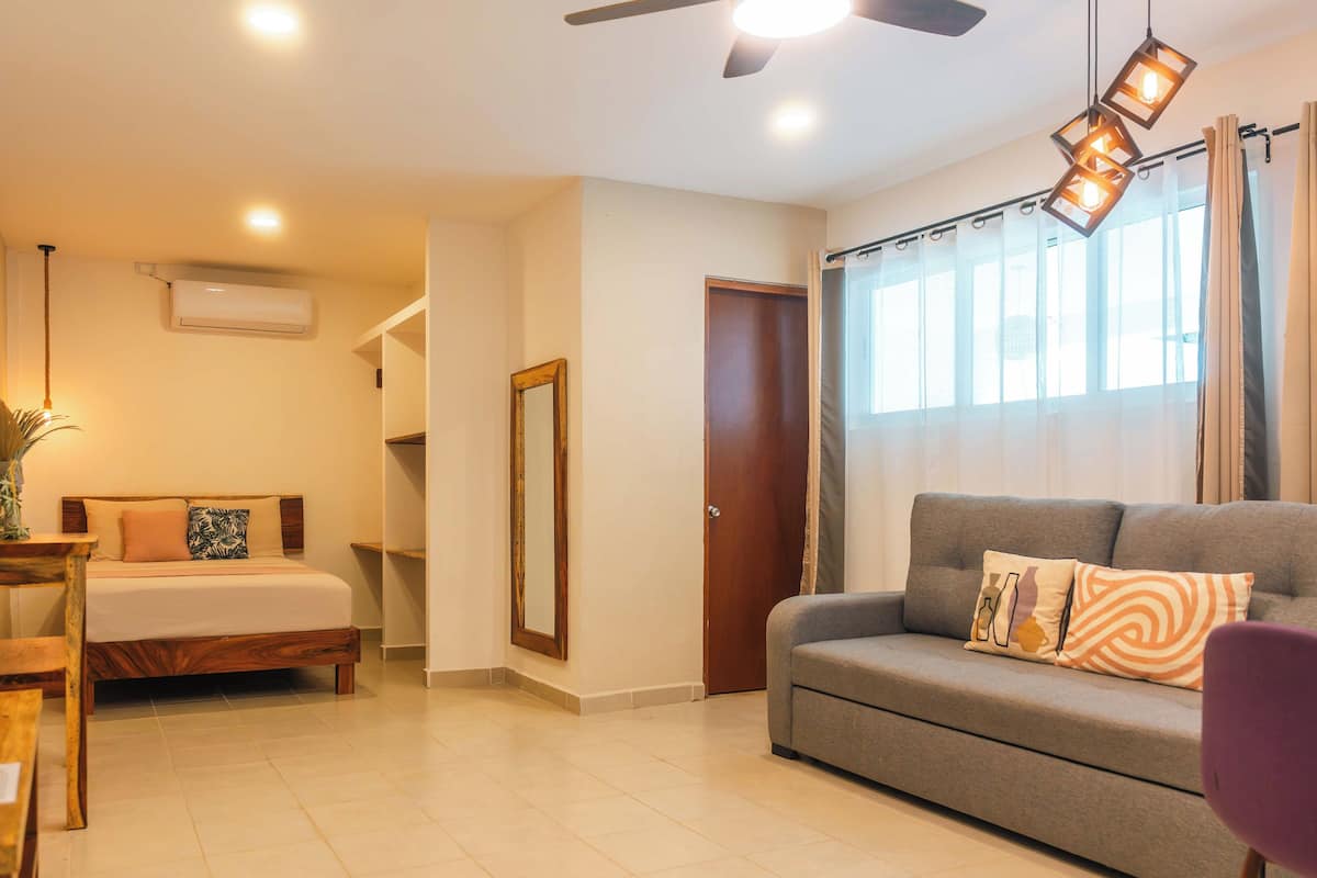 Deluxe Studio, Mobility Accessible