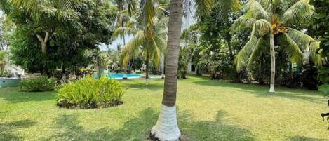 Área da propriedade