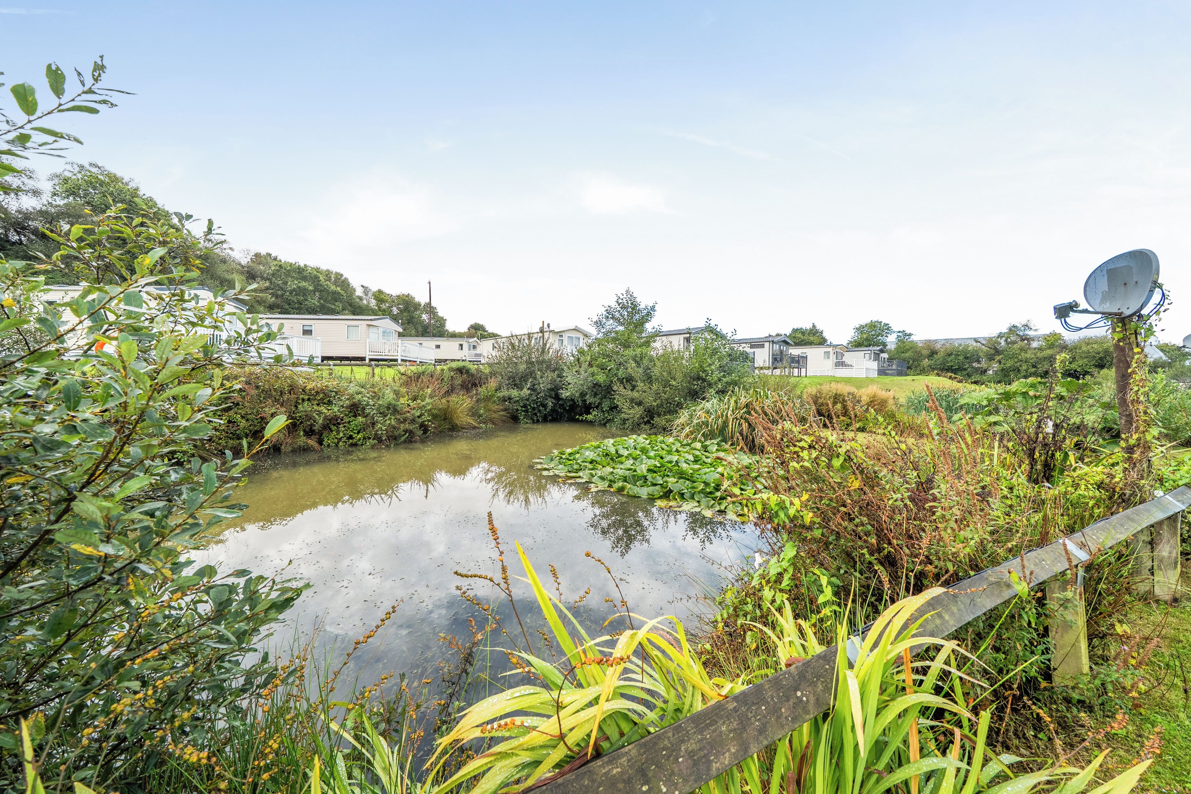 A serene outdoor setting with a pond, lush greenery, and mobile homes in the background.