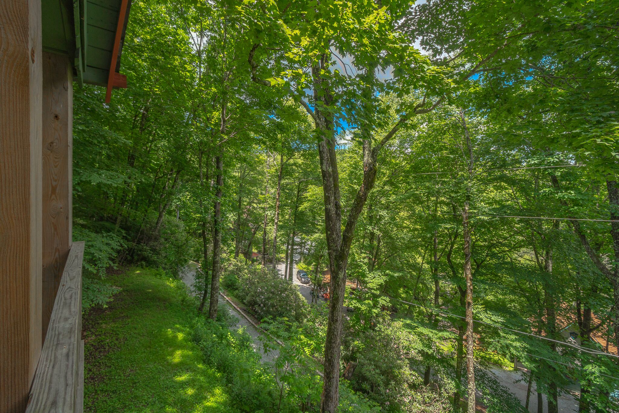 A forested area with a wooden structure, a pathway, and a road in the distance.