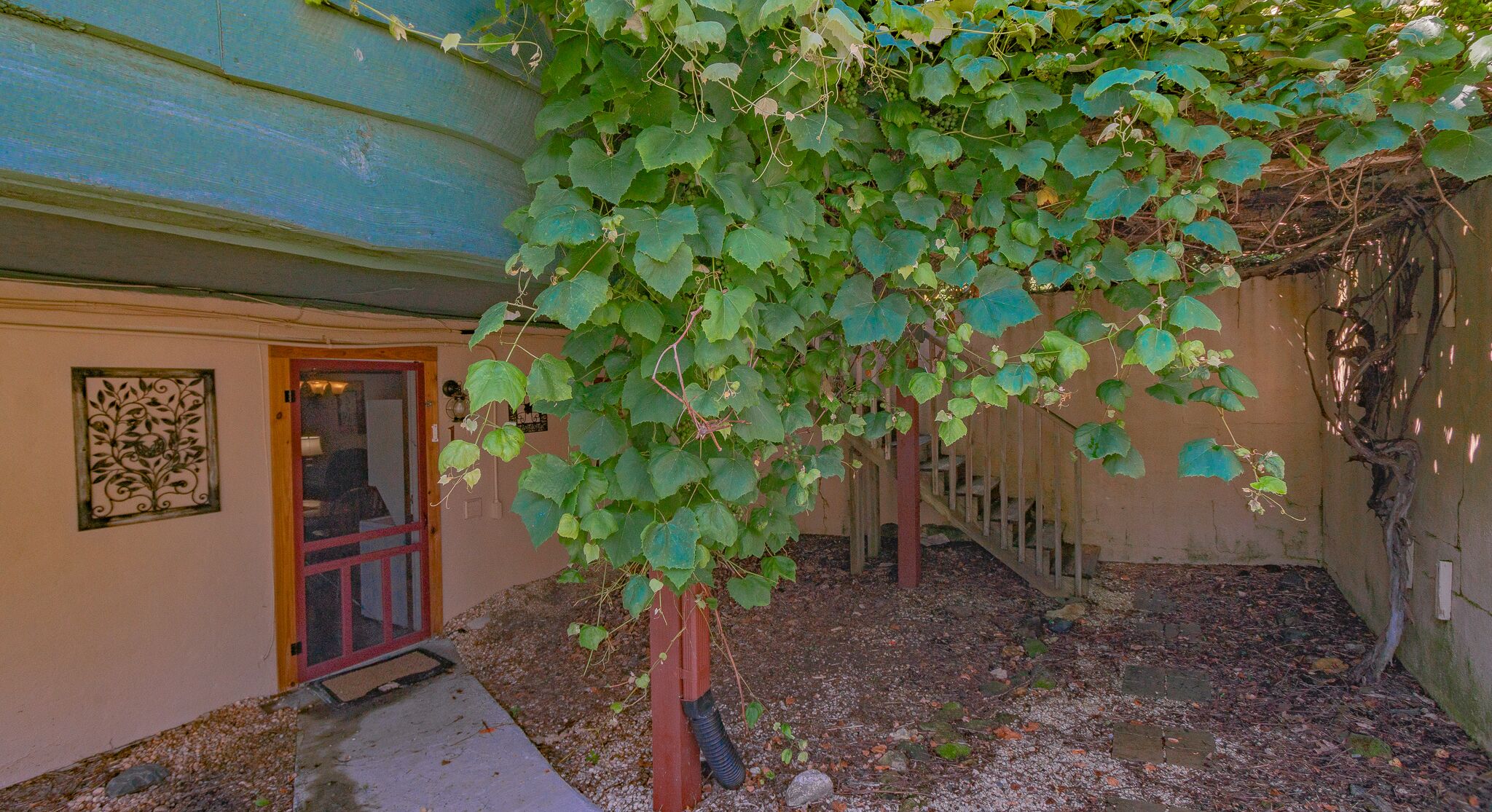Een gebouw met een deur en een kleine tuin met een muur begroeid met klimop.