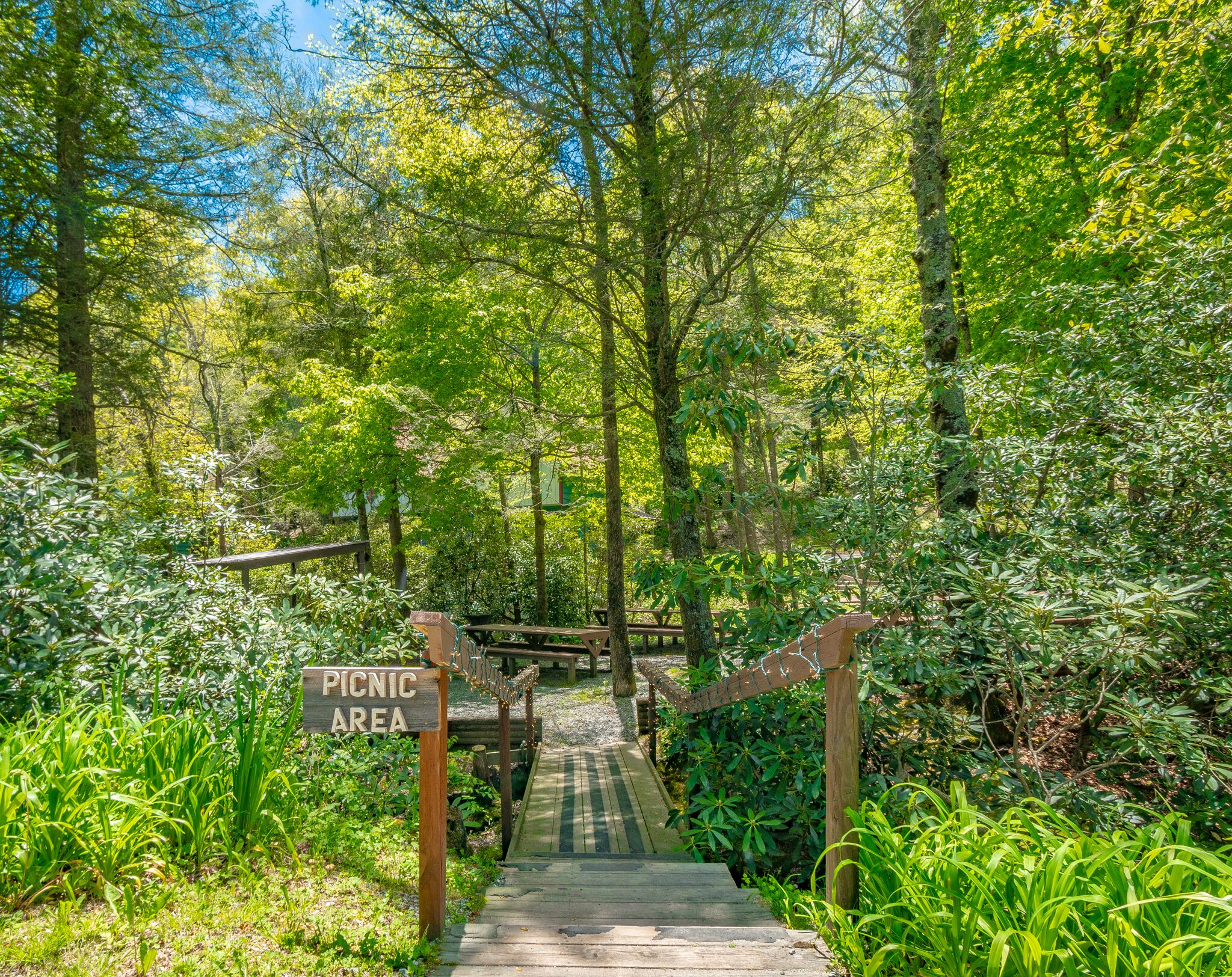 A wooden staircase leading to a picnic area surrounded by lush greenery.