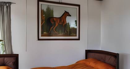Hotel Plaza del Valle