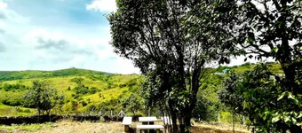 BonsNest Holidays - Private Cottage