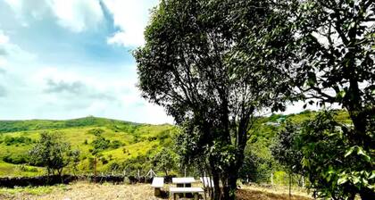 BonsNest Holidays - Private Cottage