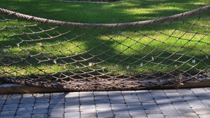 A paved walkway with a rope barrier, a grassy area, and a banana tree.
