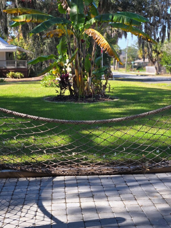 A paved walkway with a rope barrier, a grassy area, and a banana tree.