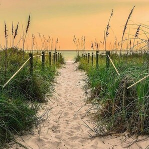 A sandy pathway flanked by tall grasses leading to a body of water.