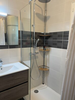 Bathroom features a glass-enclosed shower with handheld and wall-mounted showerheads, plus storage shelves and a modern sink.