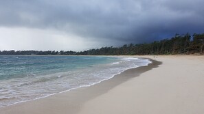 Sun-loungers, beach towels - North Shore Family Home - Walk to the beach (Kahuku)