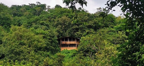 Cabaña Tabachín - Su conexión con la naturaleza