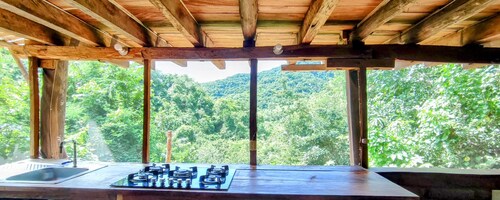 Cabaña Guarumbo - Connection with Nature