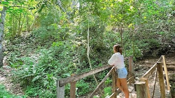 Uma ponte de madeira em uma área arborizada, com uma pessoa parada sobre ela.