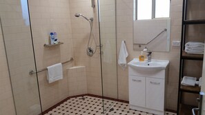 Shower, hair dryer, towels, soap