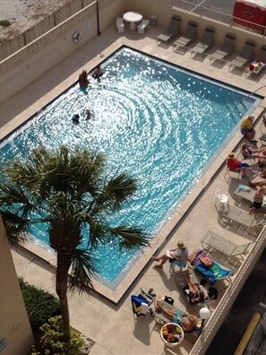 Pool - Oceanfront Ponce Inlet Condo, No-drive Beach, Pool,
Create Lifelong Memories... (Ponce Inlet)