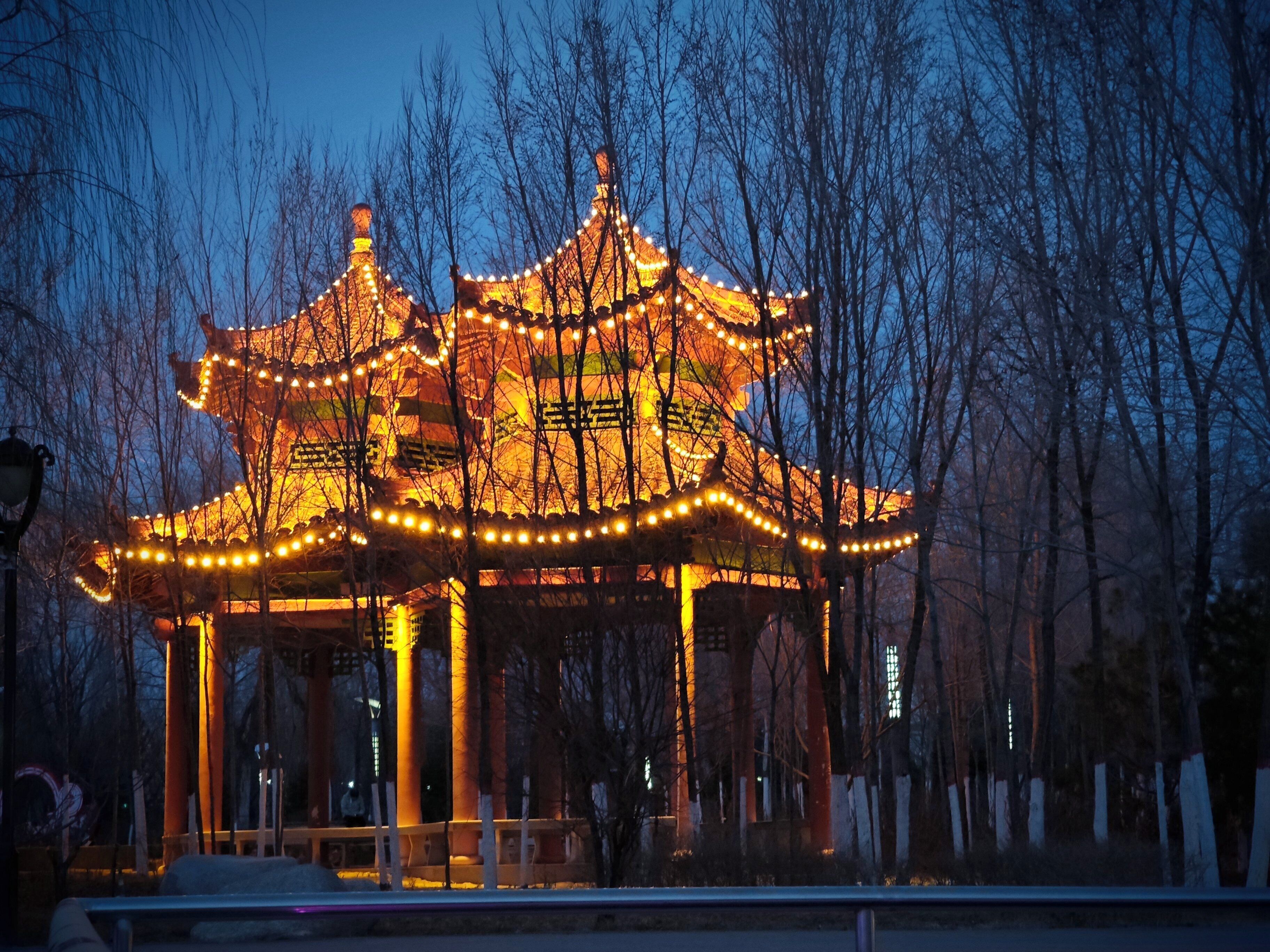Un pavillon traditionnel, doté d’un toit recouvert de tuiles, entouré d’arbres sans feuilles et illuminé par des guirlandes lumineuses.