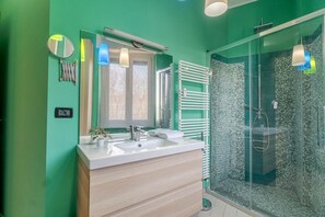 Shower, hair dryer, bidet, towels