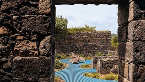 A stone archway leading to a pathway with a blue surface, surrounded by greenery and a stone wall.