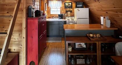 Cozy Adirondack Cabin Near Lake George w/ Wood Burning Stove & Lake Access