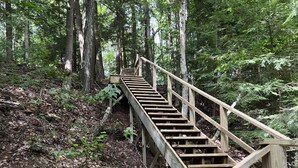 Una escalera de madera en un área boscosa.