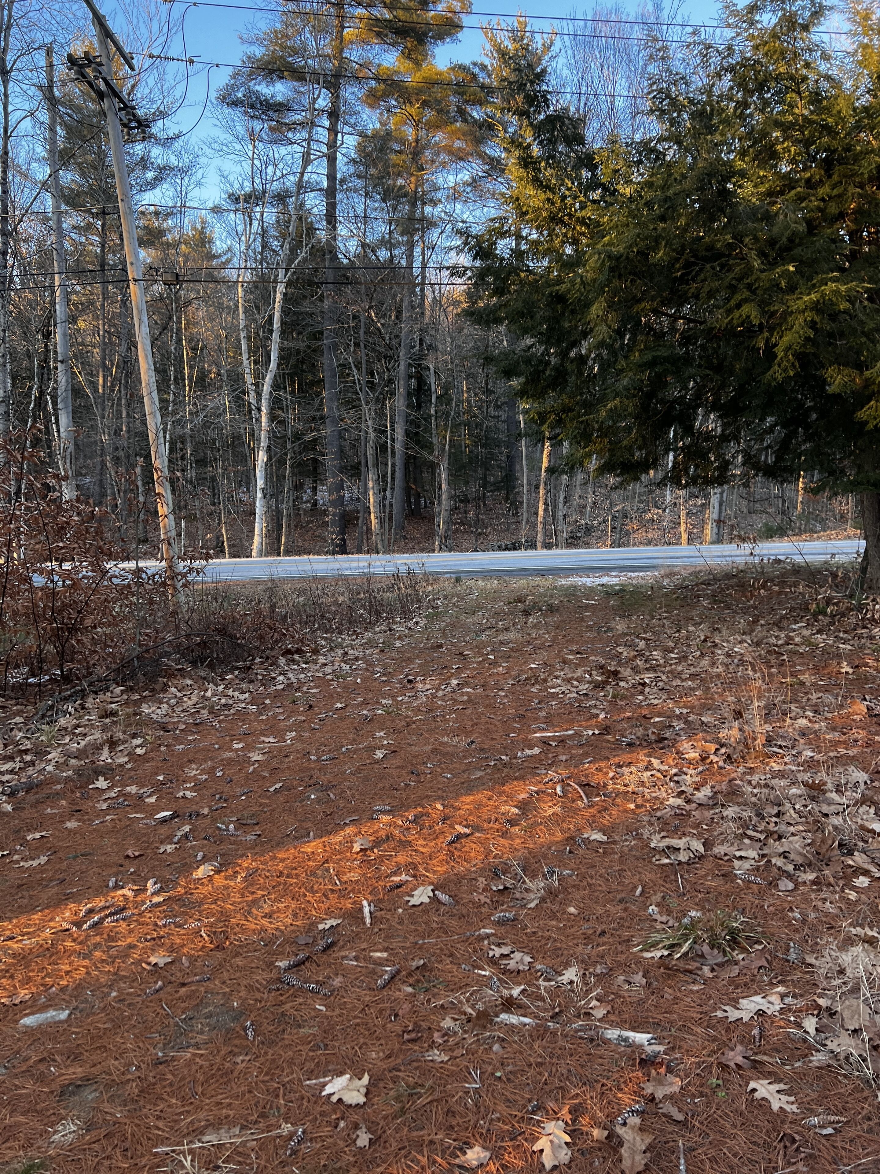 A forested area with a dirt path and a road in the background.