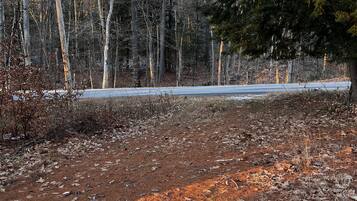 A forested area with a dirt path and a road in the background.