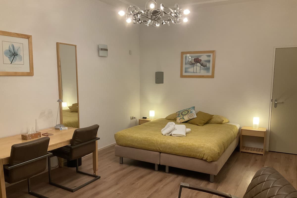 A hotel room with a bed, a desk, a chair, a mirror, and a chandelier.