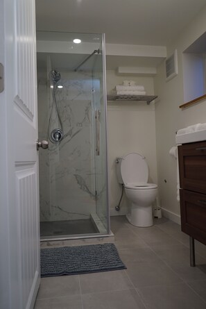 Shower, hair dryer, towels, soap