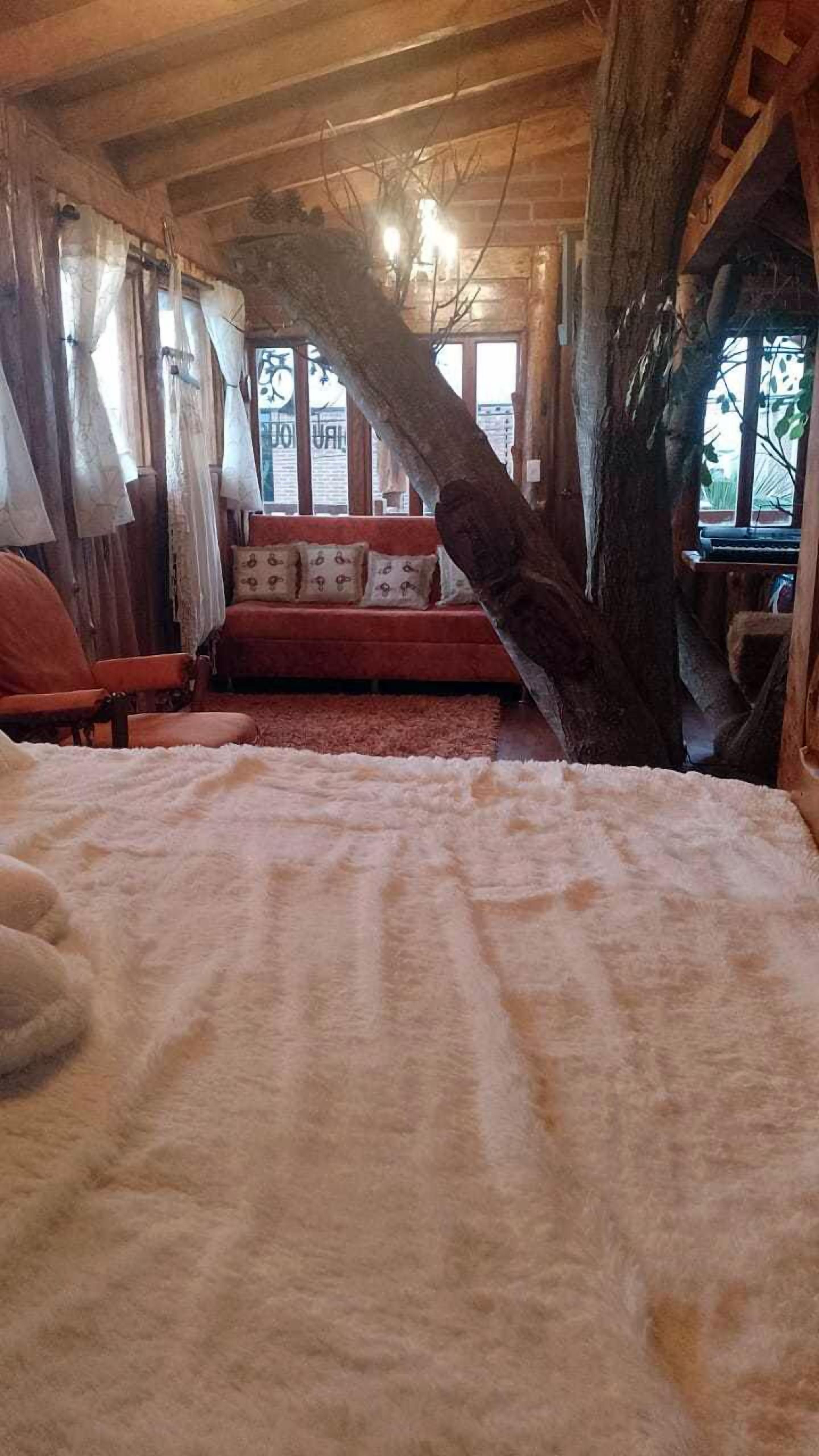 Comfort House | 6 bedrooms, iron/ironing board, free WiFi